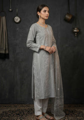 Formals - Riwaj - Fancy 26 - Ari & Mukesh Work - 2 Pcs - D#01 - D Grey
