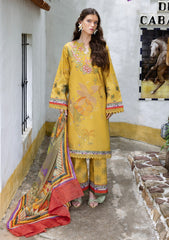 Winter - Mushq - Hemline Mirasol - Intermix 25 - HML#07B - Sol Arena