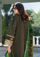 Winter - Parishay - Panache - Palachi Shawl 25 - PNE#05