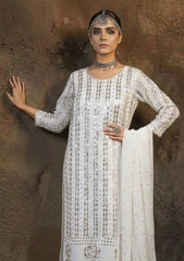 Formals - Bahawalpur Pehnawa - Georgette Chiffon - 2 piece - JC#07