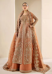 Formals - Meeral - Celestia Wedding 26 - D#1184 - SERENA