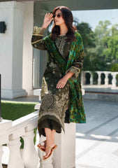 Winter - Parishay - Panache - Palachi Shawl 25 - PNE#05