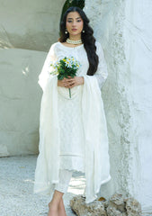 Lawn - Banafsheh - Chikankari Luxury 25 - BN-305