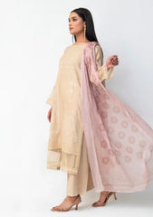 Winter - Ambers Eliana - Ava - Karandi 25 - AEKC-UF#13