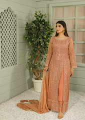 Pret Collection - Rubaaiyat - Luxury - Bamber Chiffon - RP#19