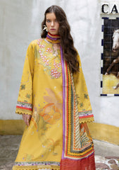 Winter - Mushq - Hemline Mirasol - Intermix 25 - HML#07B - Sol Arena