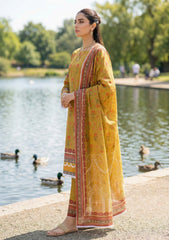 Lawn - Rubaaiyat - R Prints 26 - Volume 2 - RP2#03 - D Golden
