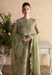 Formal Collection - Afrozeh - La Fuchsia - ALF-24-V2-06 - Cassia