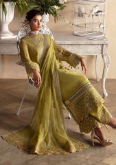 Formal Collection - Afrozeh - La Fuchsia - ALF-24-V2-02 - Diora