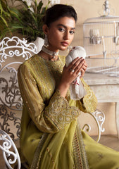 Formal Collection - Afrozeh - La Fuchsia - ALF-24-V2-02 - Diora