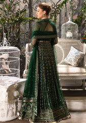 Formal Collection - Afrozeh - La Fuchsia - ALF-24-V2-08 - Fiora