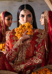 Formal Collection - Saad Shaikh - Singhar Festive - Rani - SSF#03