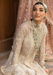 Formal Collection - Afrozeh - Dastangoi - Wedding - Noori - D#02