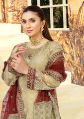 Formal Collection - Mah'e Rooh - Nigah e Shoq - NS#4206