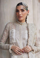 Formal Collection - Afrozeh - Dastangoi - Wedding - Noori - D#02