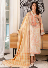 Winter Collection - Nureh - Signature - Prints - Cotail - SP#88