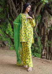 Winter - Sidra Aleem - Comfort - Premium Winter 25 - CPW#10