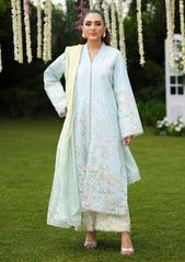 Winter - Rang Rasiya - Luxe Silk 25 - RRLS#07 - Feryal