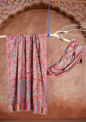 Pashmina Kalamkar Ari Work Scarf D#01 - Multi