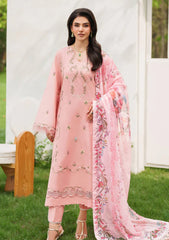 Winter - Asifa & Nabeel - Eden Cambric 25 - ECU#01 - Serene Blush