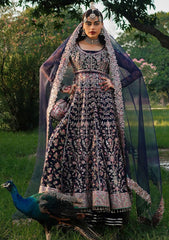 Formal Collection - Hussain Rehar - Zaib-un-nisa - Falak