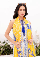 Lawn Colleection - Tabeer - Printkari - TP24#1B - Almir