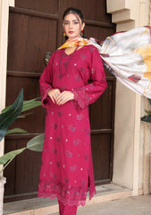 Lawn - Bin Rashid - Andaaz - Premium 25 - D#01