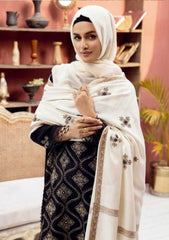 Winter Collection - Riaz Arts - DastKari - D#01