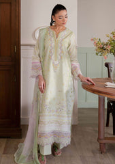 Lawn - Neeshay - Summer Lines 25 - Vol II - SPRING FERN