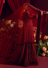 Wedding Collection - Brides - D#12