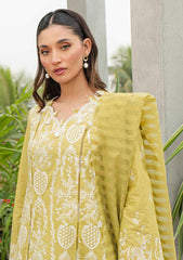 Lawn Collection - Qalamkar - Qline - JK24#02 - Melis