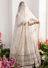 Formal Collection - Zaha - Gossamer - Autumn - ZC23#03