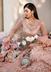 Formal Collection - Rubaaiyat - Handwork Wedding 23 - Bella - D#02
