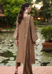 Winter - Riaz Arts - Tehzeeb 25 - Leather Peach - TL#453