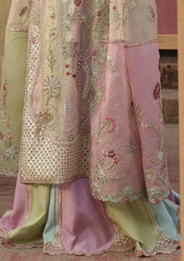 Formals - Crimson - Jhilmil Wedding 26 - CW-D#07 - RANGOLI