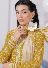 Lawn - Qalamkar - Q Prints 25 - Vol II - QLM#10-B