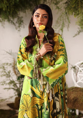 Winter - Naqsh - Bloom & Vogue 25 - NB#00162 - Lime Peel