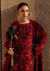 Winter - Rajbari - Winter Shawl - Exclusive 25 - D#04