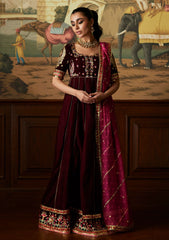Winter Collection - Mina Hasan - Velvet Luxe - Daaniya