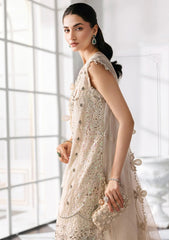 Formals - Maria B - Mbroidered Unstitched Edition 25 - MME#07