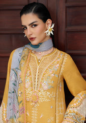 Winter - Qalamkar - Qline - Linen 25 - QLM#06 - GLEAM