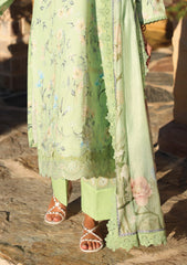 Lawn - Ayleen - Naqsh - Summer 26 - RONAQ
