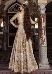 Formal Collection - MNR - Zarlish 23 - Moti - D#08