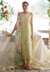 Lawn - Mahnur - Nilofer Luxury 26 - NL#06