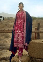 Winter - Gul Ahmed - Printed Karandi - AY#52011