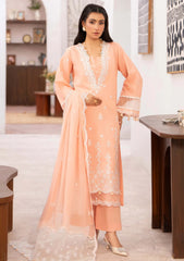 Lawn - Humdum - Nayab 26 - D#10