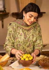 Lawn - Asim Jofa - Essential 25 - Vol-05 - AJUBJ-31