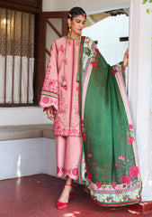Lawn - Jugnu by Hussain Rehar - Spring Summer 25 - Ravi