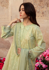 Lawn Collection - Cross Stitch - Premium - CSP24#24 - MISTED GREEN