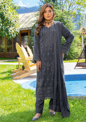 Winter Collection - Bin Rashid - Jahanara - BRJ24#04